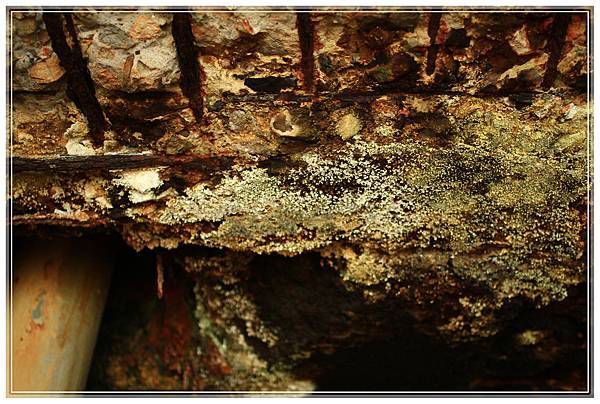 IMG_6580.JPG IMG_6580.JPG