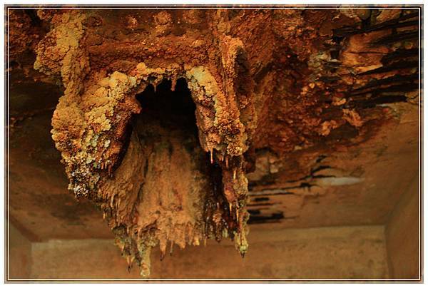 IMG_6585.JPG IMG_6585.JPG