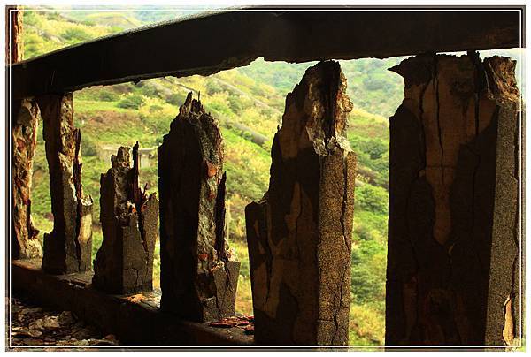 IMG_6590.JPG IMG_6590.JPG