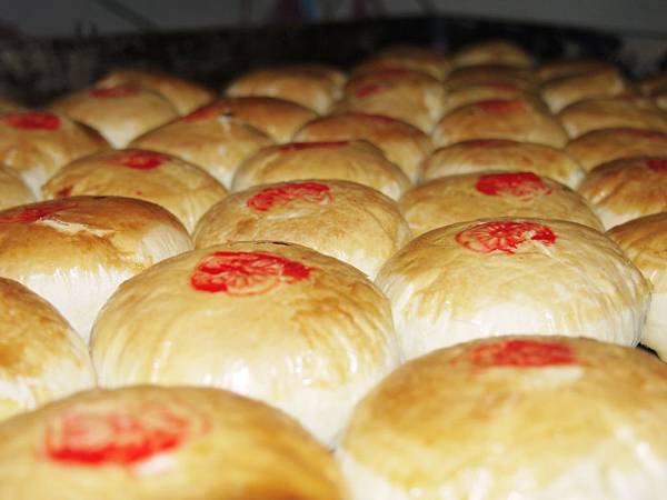 P1240505.JPG P1240505.JPG