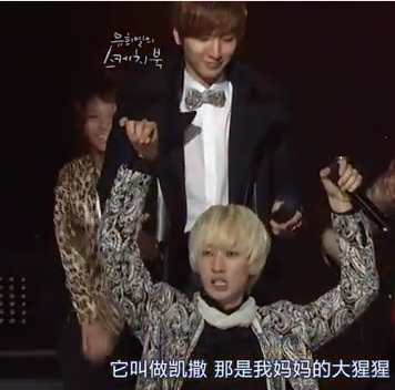 未命名45.jpg 未命名45.jpg