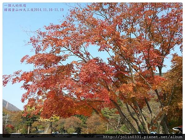 [韓國釡山]金井山梵魚寺