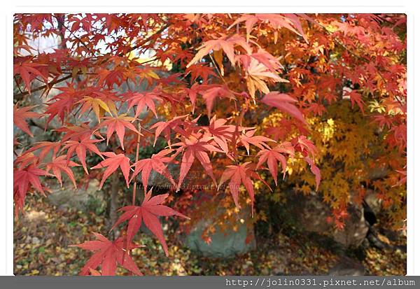 [韓國釡山]金井山梵魚寺