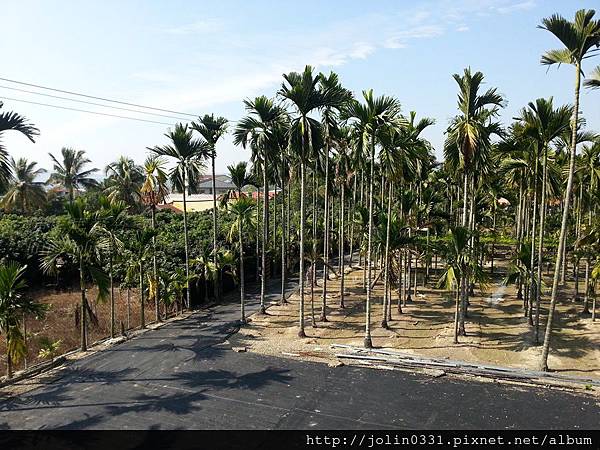 高雄杉林-月光杉林廚房