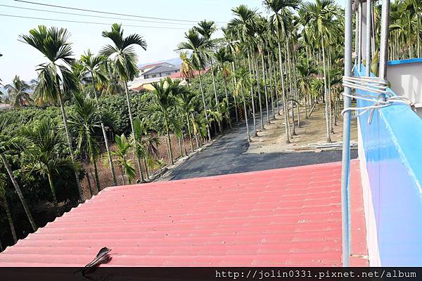 高雄杉林-月光杉林廚房