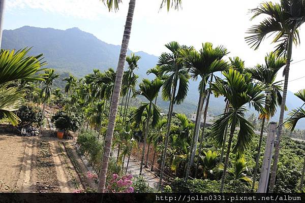 高雄杉林-月光杉林廚房