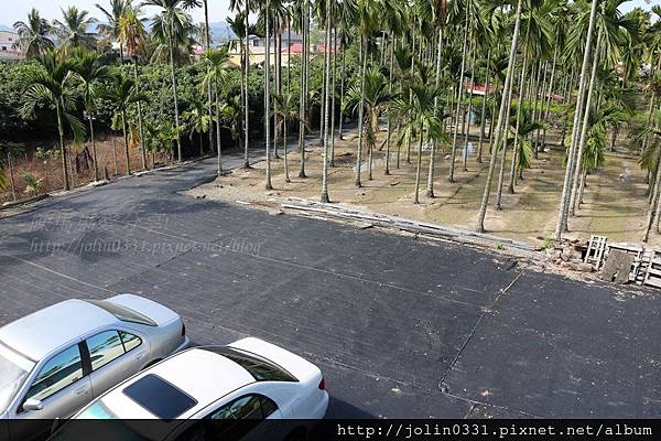 高雄杉林-月光杉林廚房