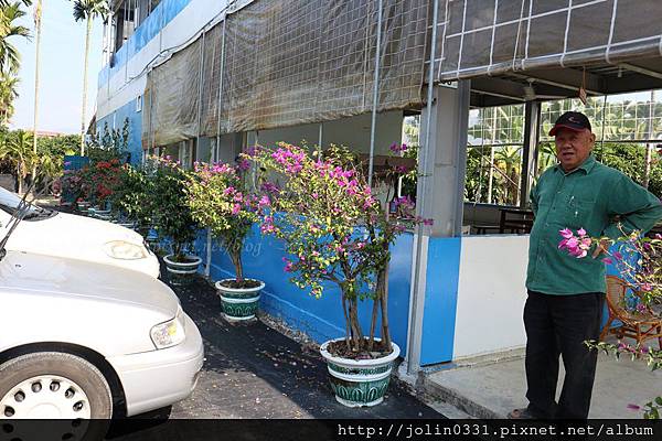 高雄杉林-月光杉林廚房