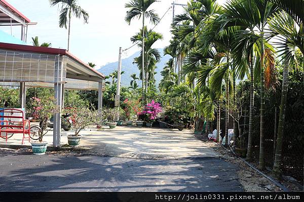 高雄杉林-月光杉林廚房