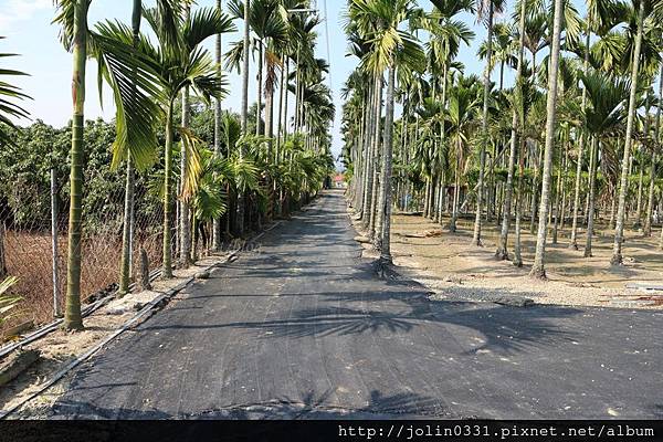 高雄杉林-月光杉林廚房