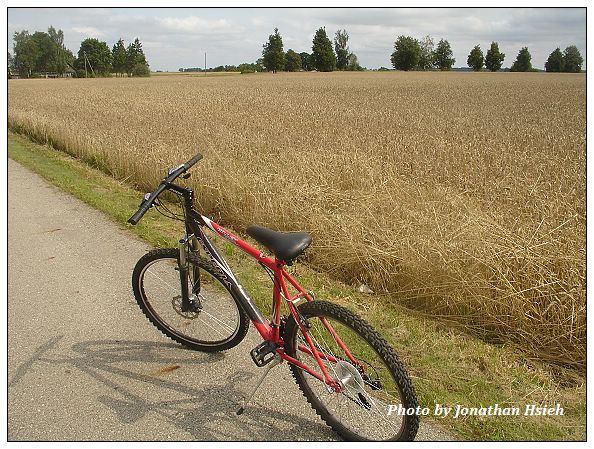 DSC06550.jpg DSC06550.jpg