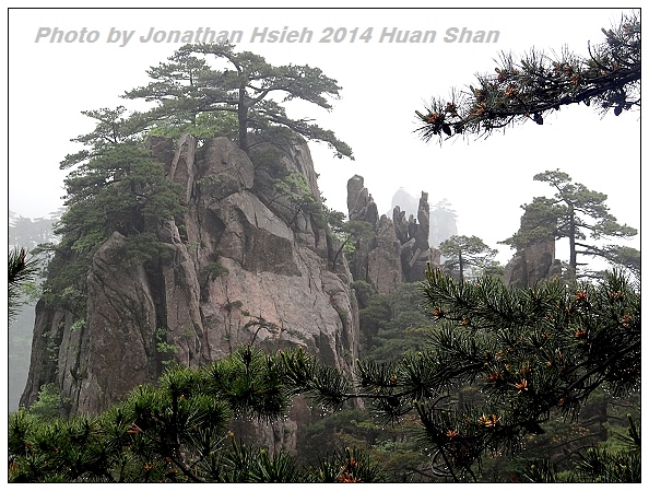 DSC06801.jpg DSC06801.jpg