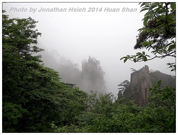 DSC06831.jpg DSC06831.jpg