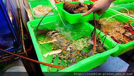 DSC00619.JPG DSC00619.JPG