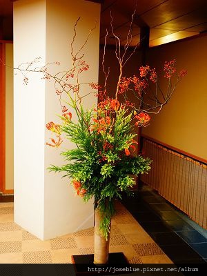 DSC01613 (2)(001).jpg