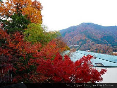 DSC01620 (2)(001).jpg