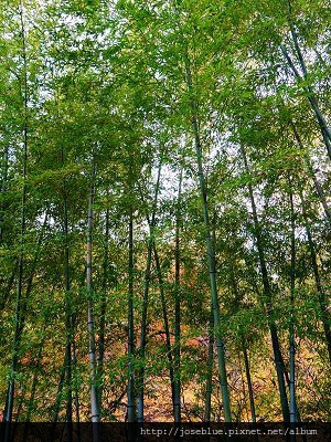 DSC01663 (2)(001).jpg