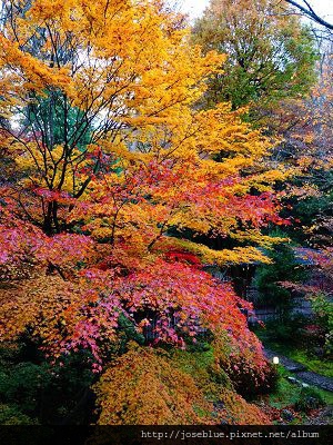 DSC01669 (2)(001).jpg