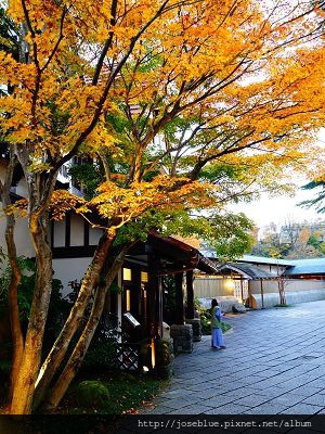 DSC01700 (2)(001).jpg