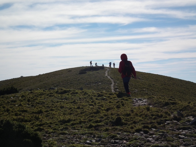 DSCF8634.JPG DSCF8634.JPG