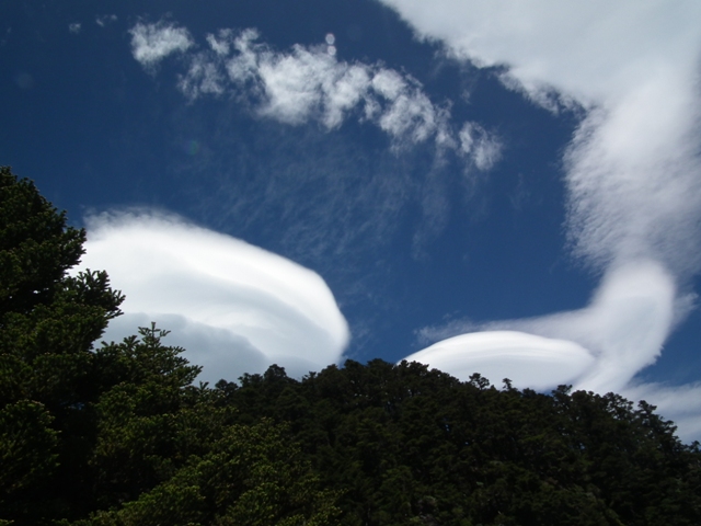 DSCF8543.JPG DSCF8543.JPG