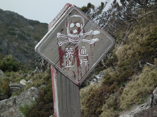 DSCF8585.JPG DSCF8585.JPG