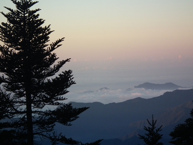 DSCF8606.JPG DSCF8606.JPG