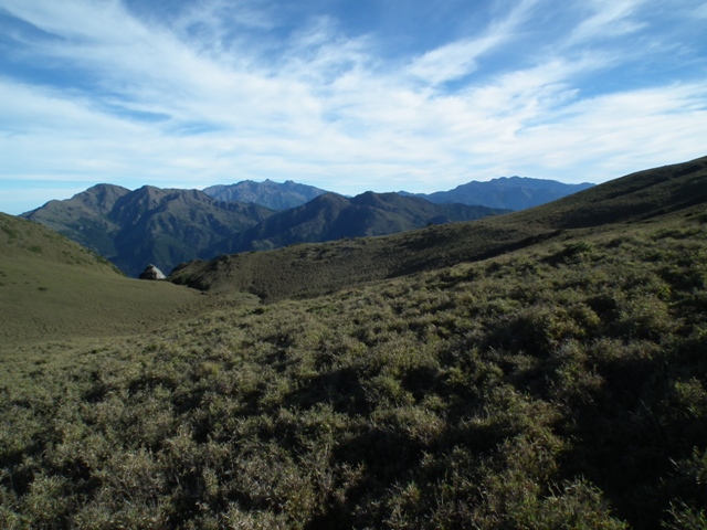 DSCF8627.JPG DSCF8627.JPG