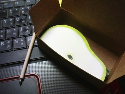 dsc06429 (500x375).jpg