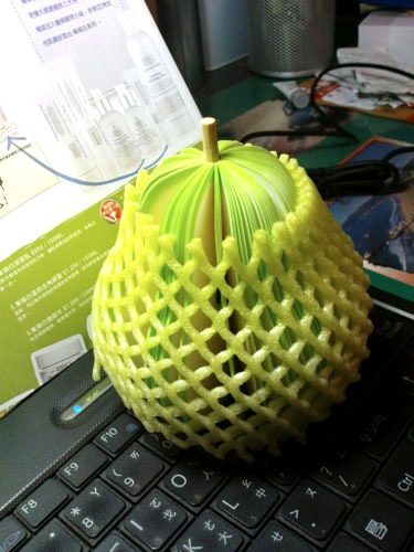 dsc06434 (375x500).jpg