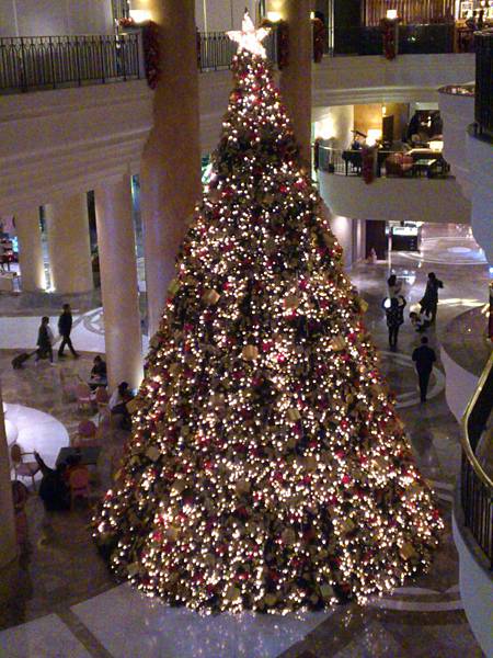 DSC_0119 DSC_0119