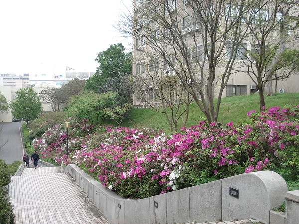 DSC09726.JPG DSC09726.JPG