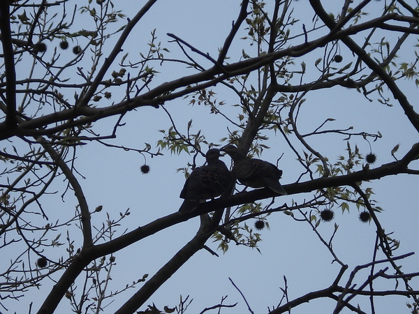 DSC09358.JPG DSC09358.JPG