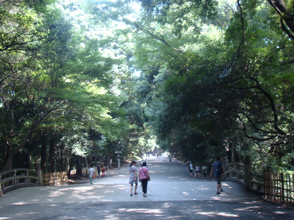 DSC04619.JPG DSC04619.JPG