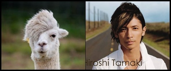 草泥馬與玉木宏