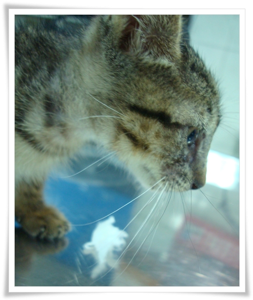 0907-3.JPG 0907-3.JPG