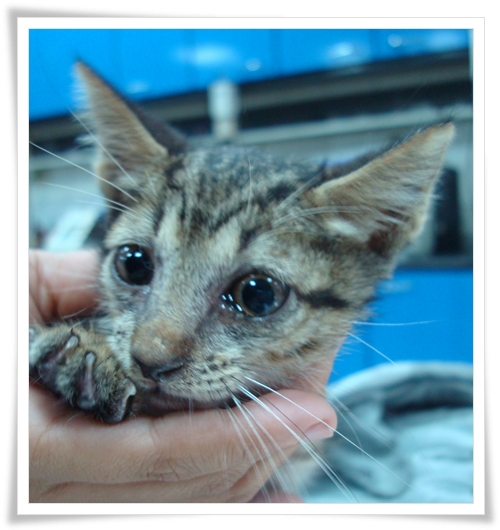 0907-2.JPG 0907-2.JPG