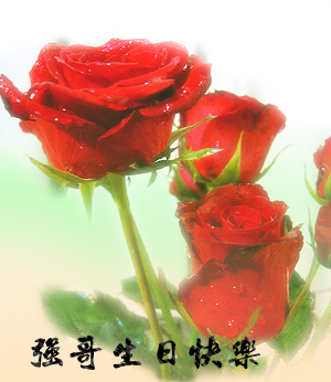 玫瑰.jpg