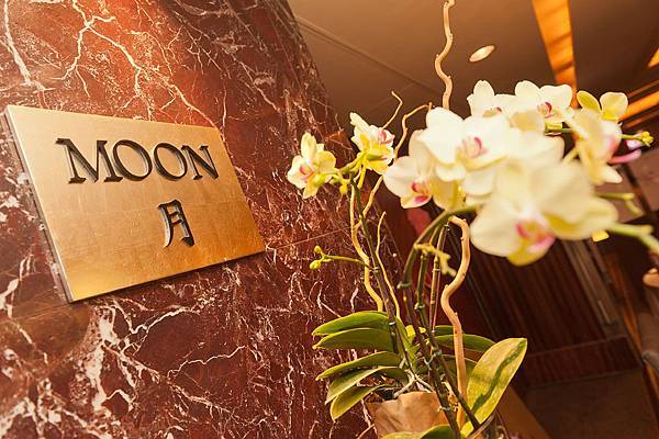 photo (414) photo (414)