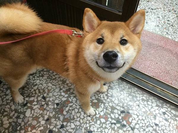 10152622_771522599532441_4950897152695380438_n