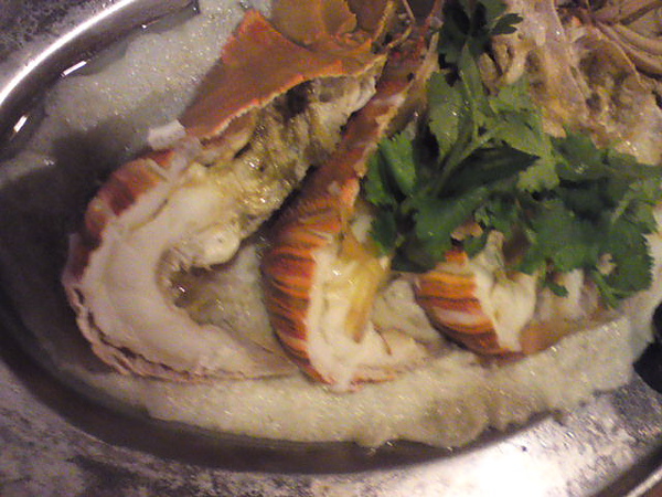 DSC00264.JPG DSC00264.JPG