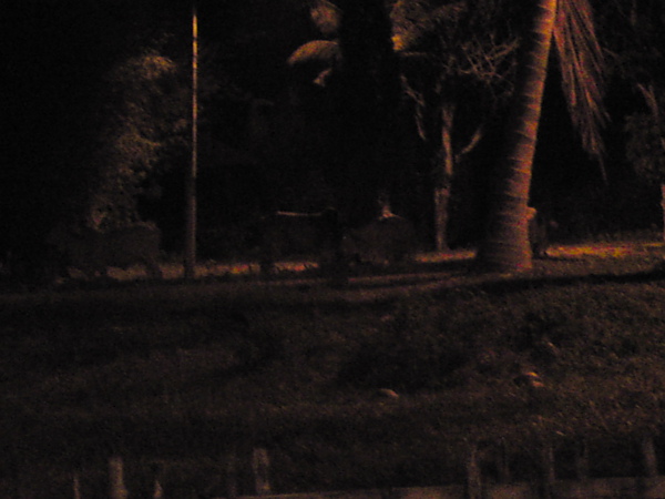 DSC00285.JPG DSC00285.JPG