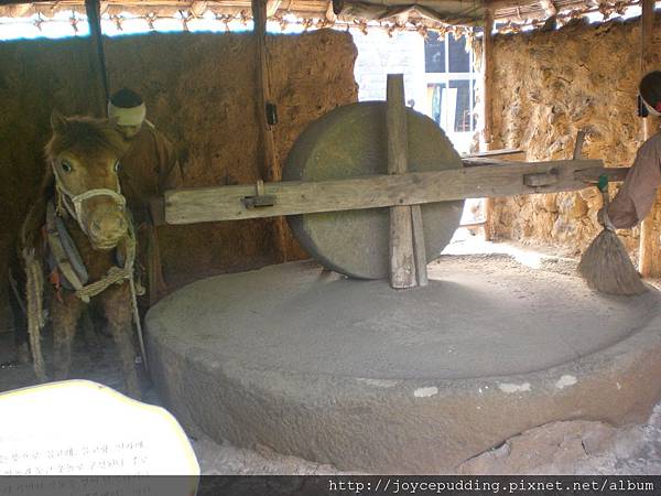 CIMG3781.JPG CIMG3781.JPG