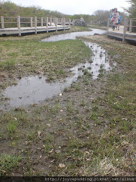 CIMG3773.JPG CIMG3773.JPG