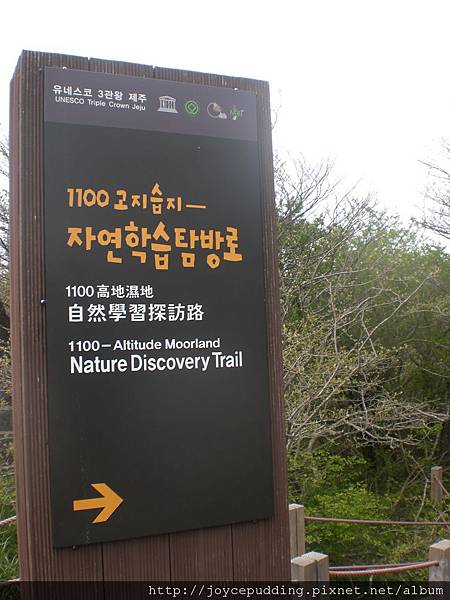 CIMG3763.JPG CIMG3763.JPG