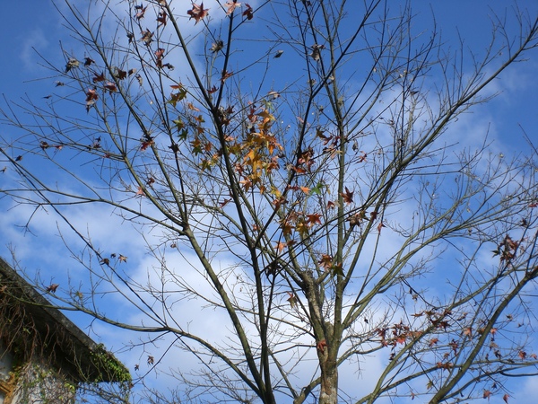 菁桐得天空 菁桐得天空