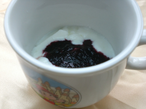 diy yogurt