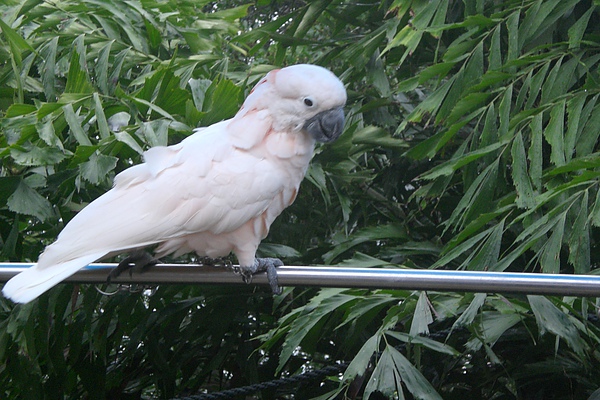 CIMG3087.JPG CIMG3087.JPG