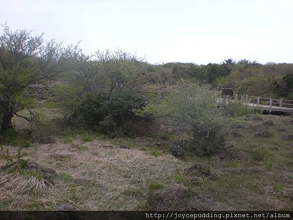 CIMG3769.JPG CIMG3769.JPG