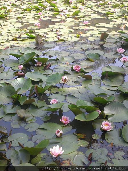 CIMG3776.JPG CIMG3776.JPG